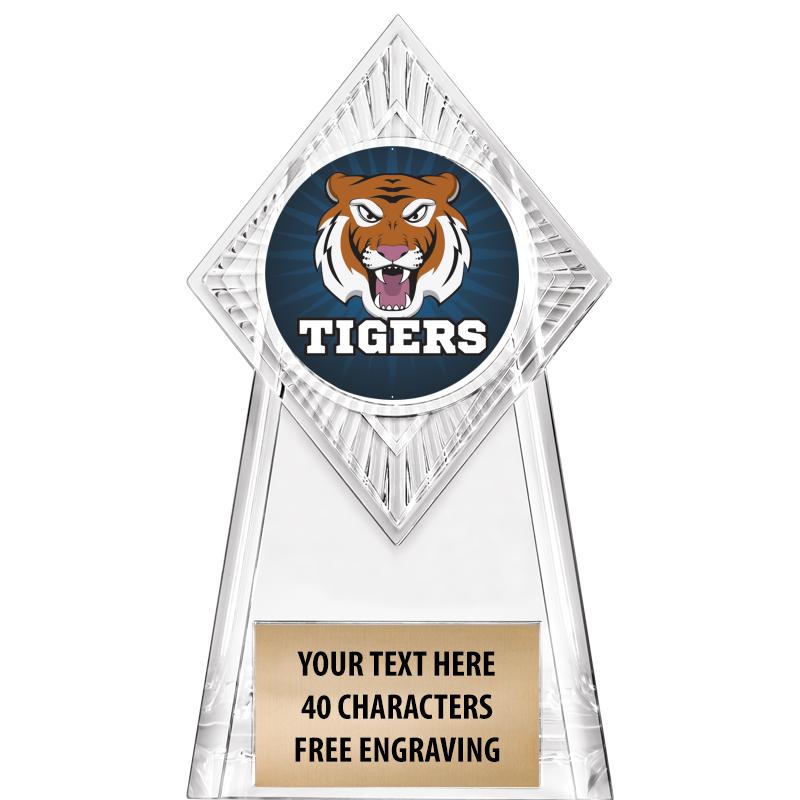 6" PARAGON CLEAR INSERT TROPHY