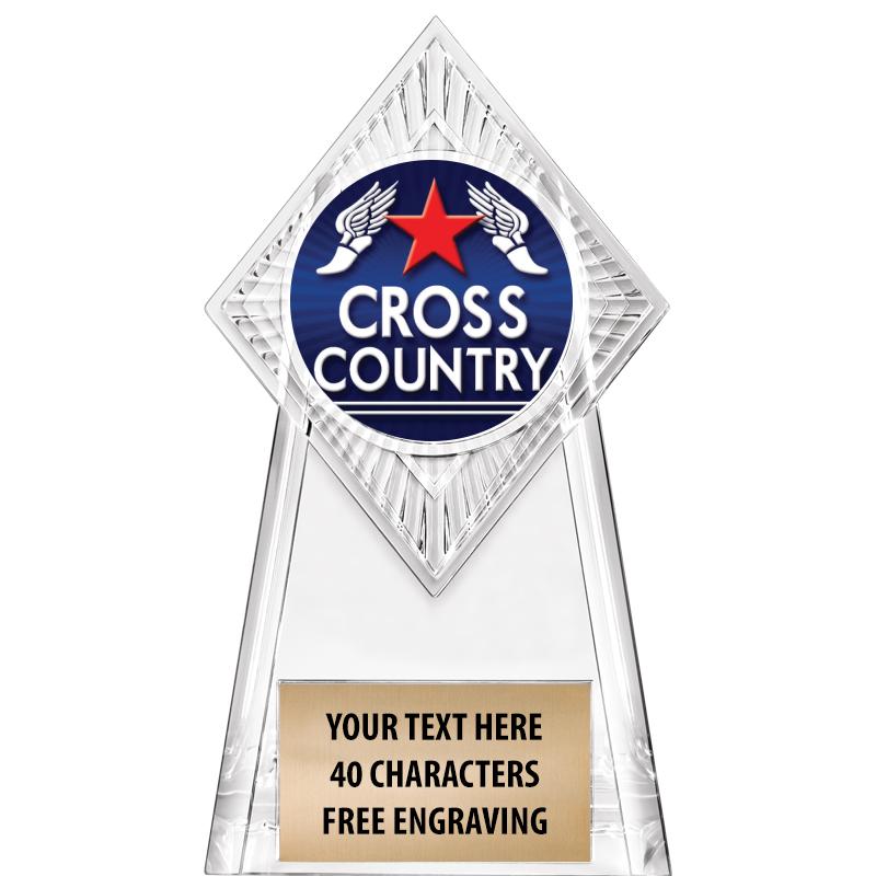 6" PARAGON CLEAR INSERT TROPHY