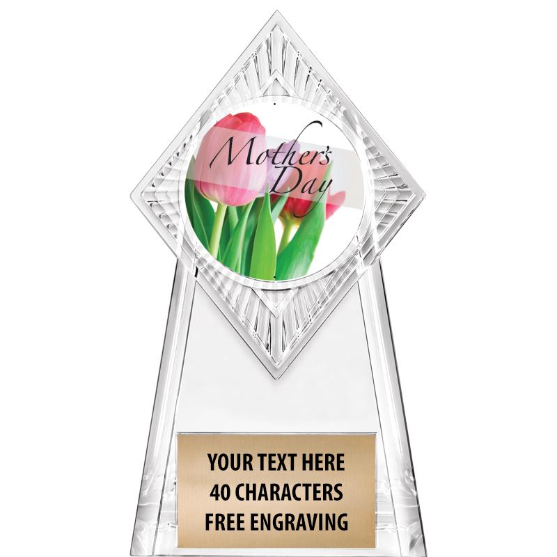 6" PARAGON CLEAR INSERT TROPHY