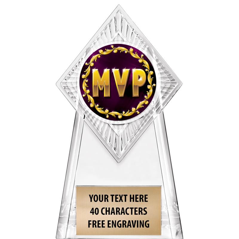 6" PARAGON CLEAR INSERT TROPHY