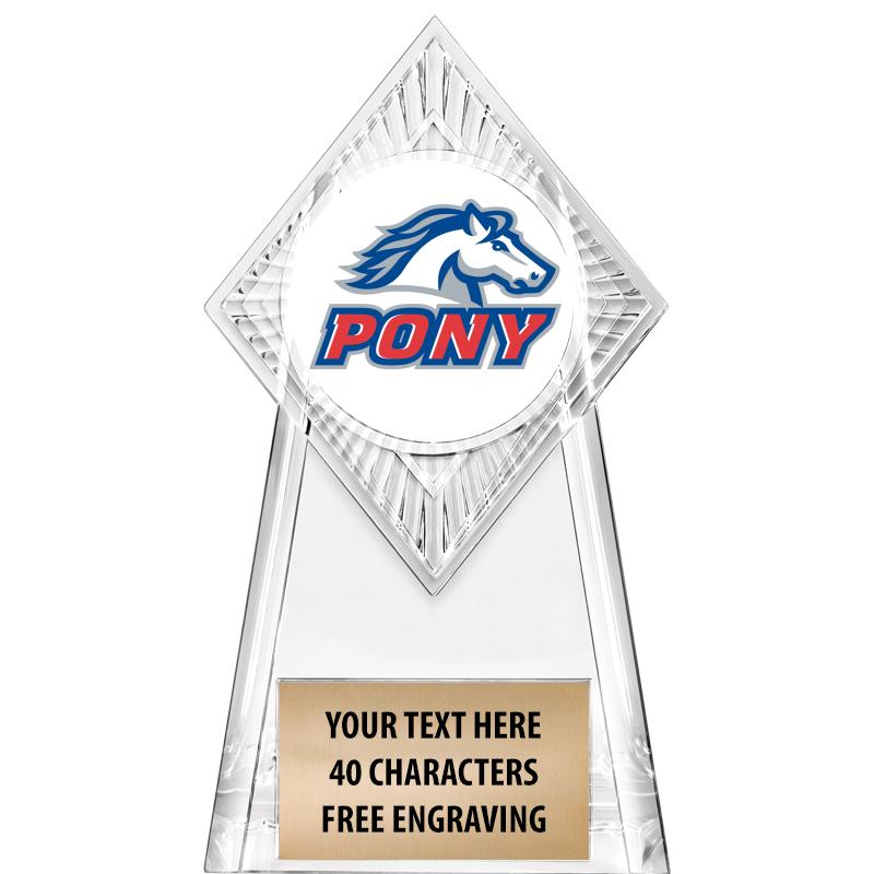 6" PARAGON CLEAR INSERT TROPHY