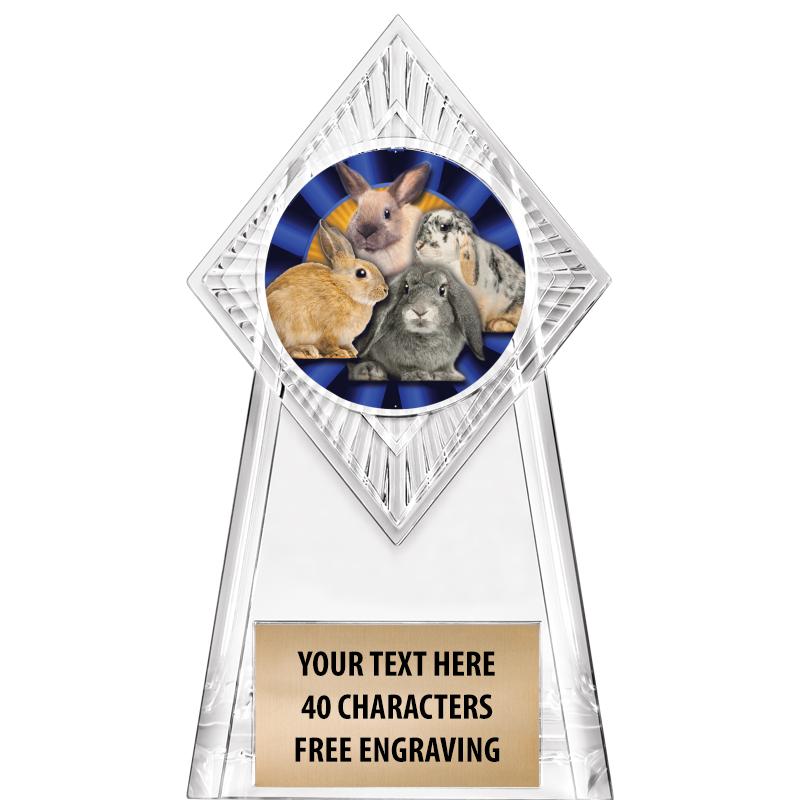 6" PARAGON CLEAR INSERT TROPHY