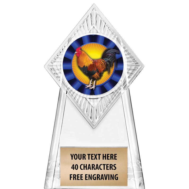 6" PARAGON CLEAR INSERT TROPHY