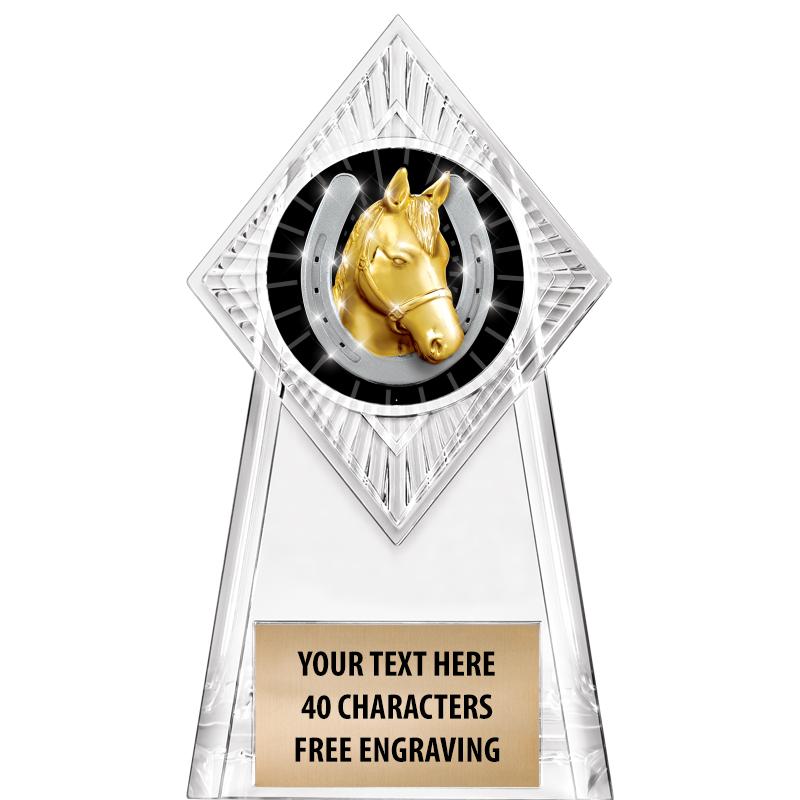 6" PARAGON CLEAR INSERT TROPHY