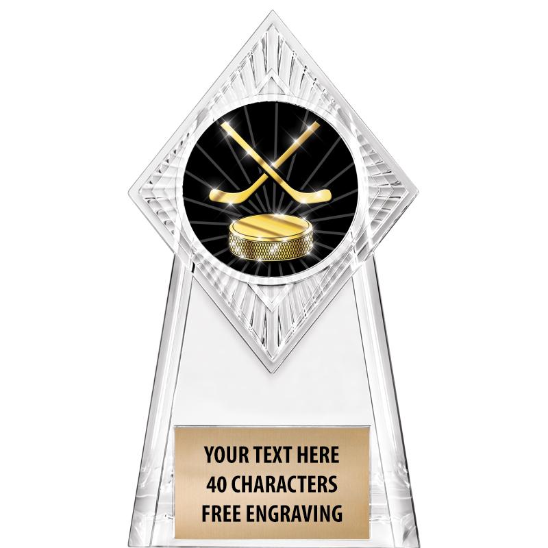 6" PARAGON CLEAR INSERT TROPHY