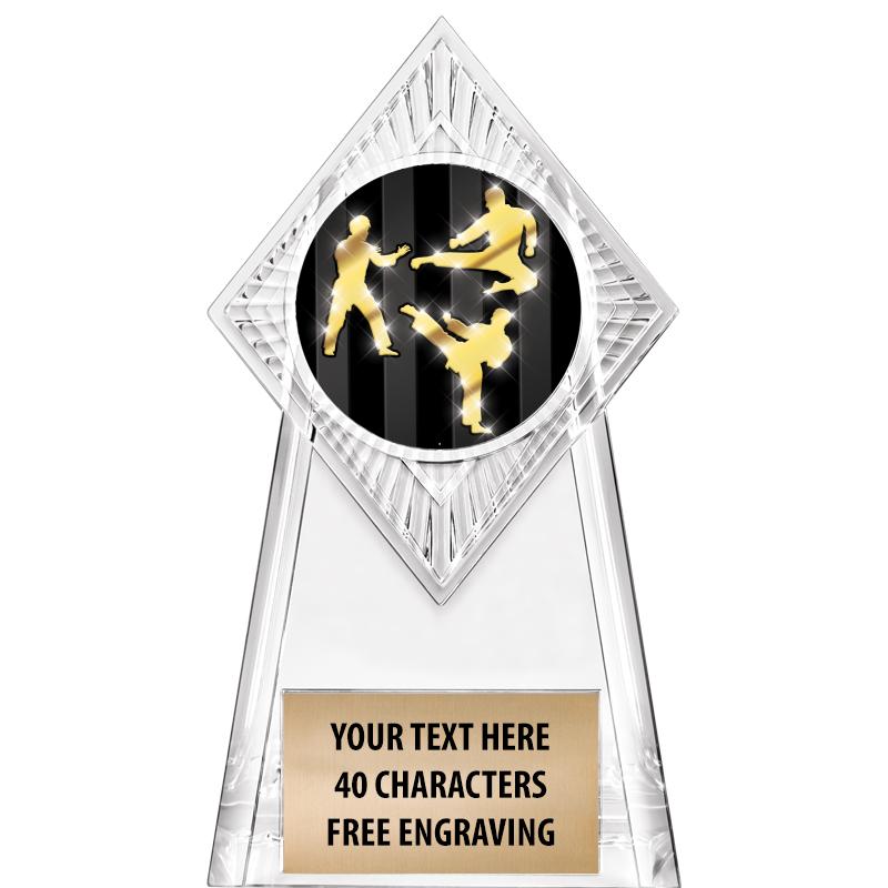 6" PARAGON CLEAR INSERT TROPHY