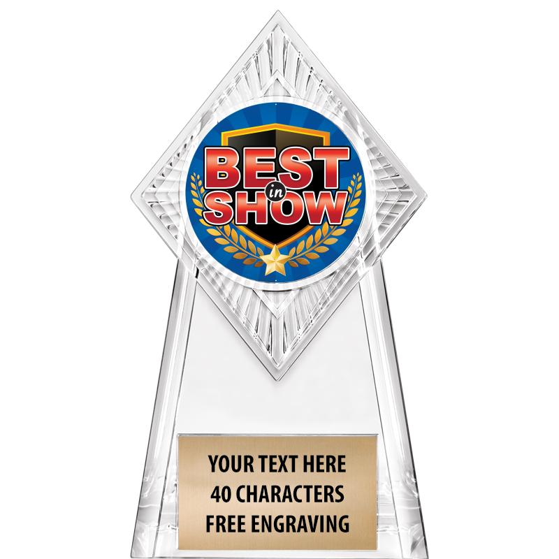 6" PARAGON CLEAR INSERT TROPHY