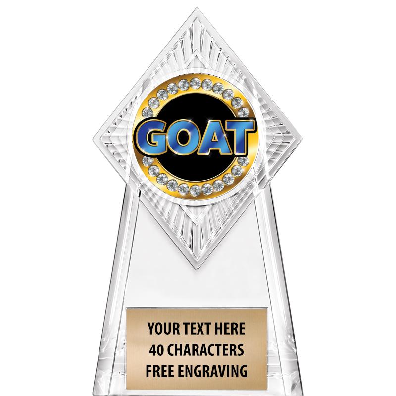 6" PARAGON CLEAR INSERT TROPHY