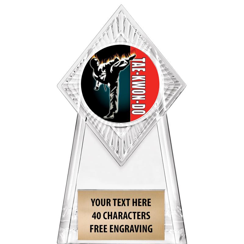 6" PARAGON CLEAR INSERT TROPHY