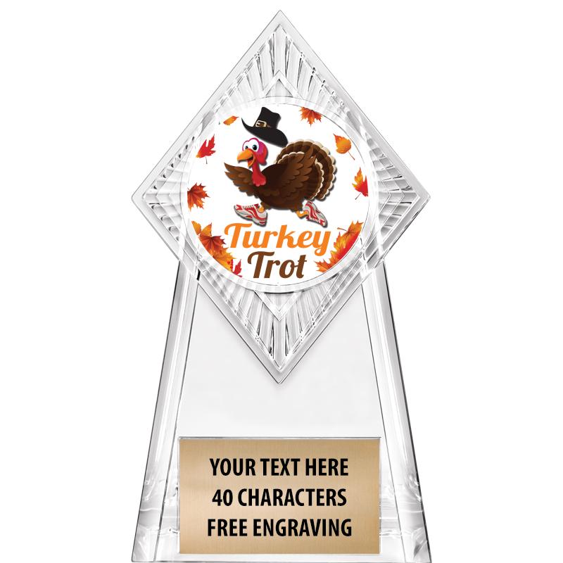 6" PARAGON CLEAR INSERT TROPHY