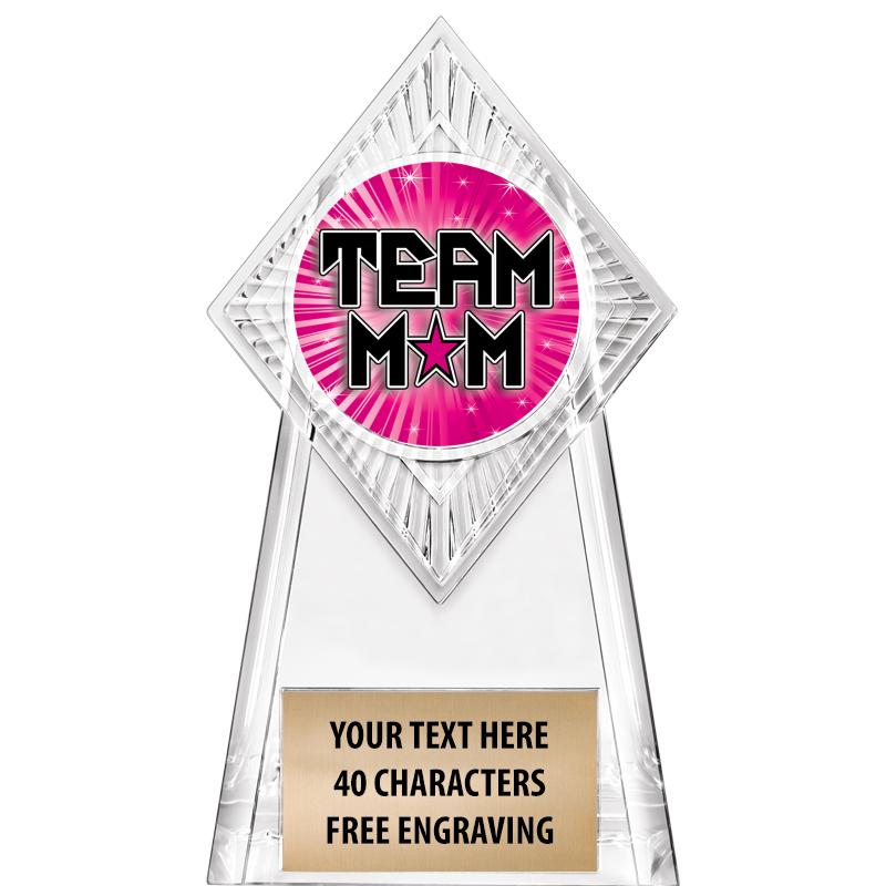 6" PARAGON CLEAR INSERT TROPHY