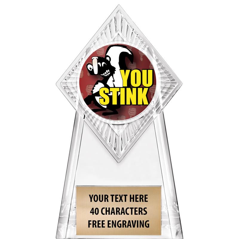 6" PARAGON CLEAR INSERT TROPHY