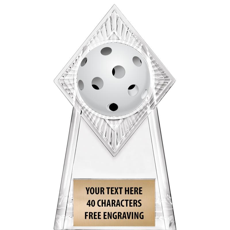 6" PARAGON CLEAR INSERT TROPHY