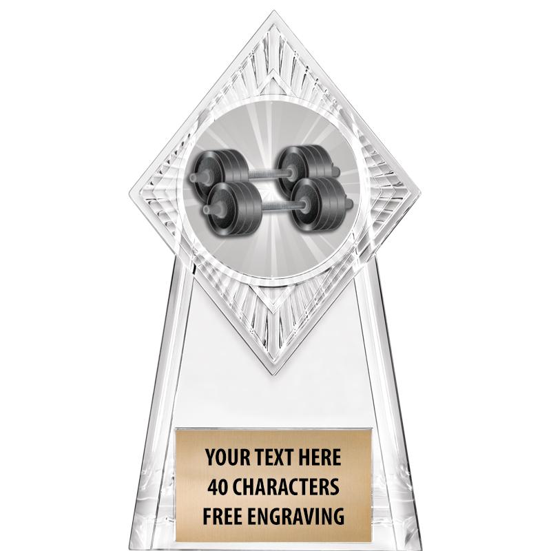 6" PARAGON CLEAR INSERT TROPHY