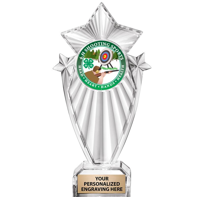 8"CLEAR STARGRAM ICICLE TROPHY