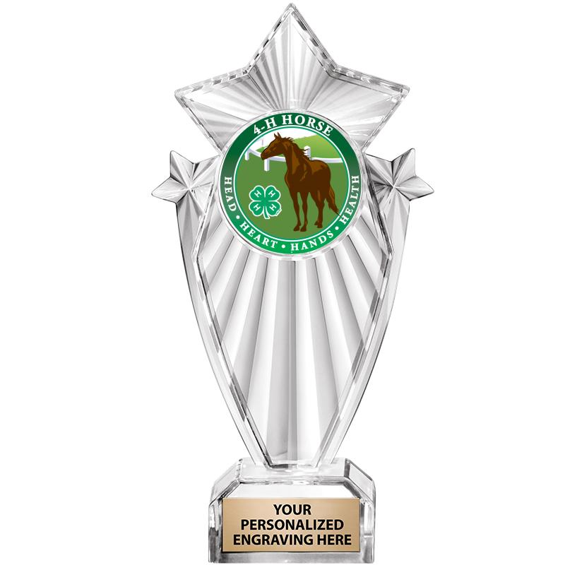 8"CLEAR STARGRAM ICICLE TROPHY