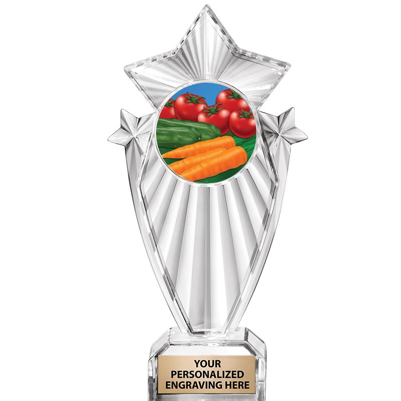 8"CLEAR STARGRAM ICICLE TROPHY