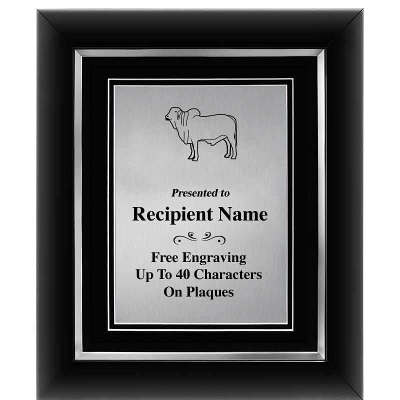 10"Wx12"H SLVR DECOR FRAME PLQ