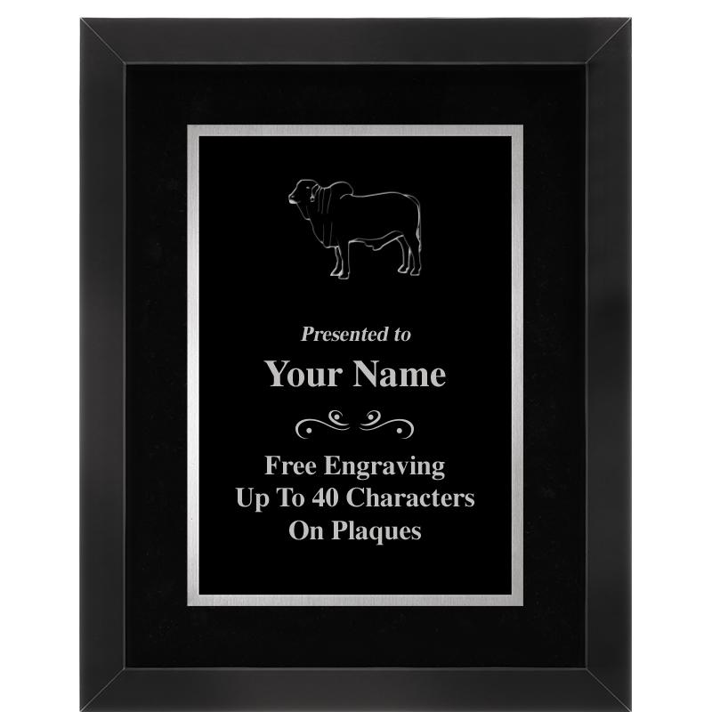 11.5"x14.5"CLASSIC BLK FRM SV