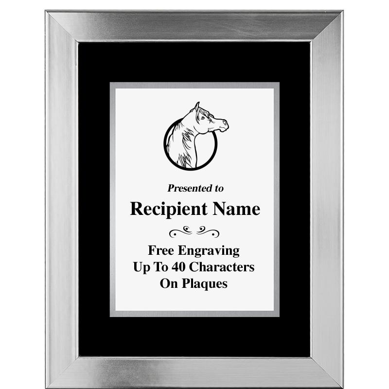 11.5"X14.5" PLATINUM FRAME PLQ