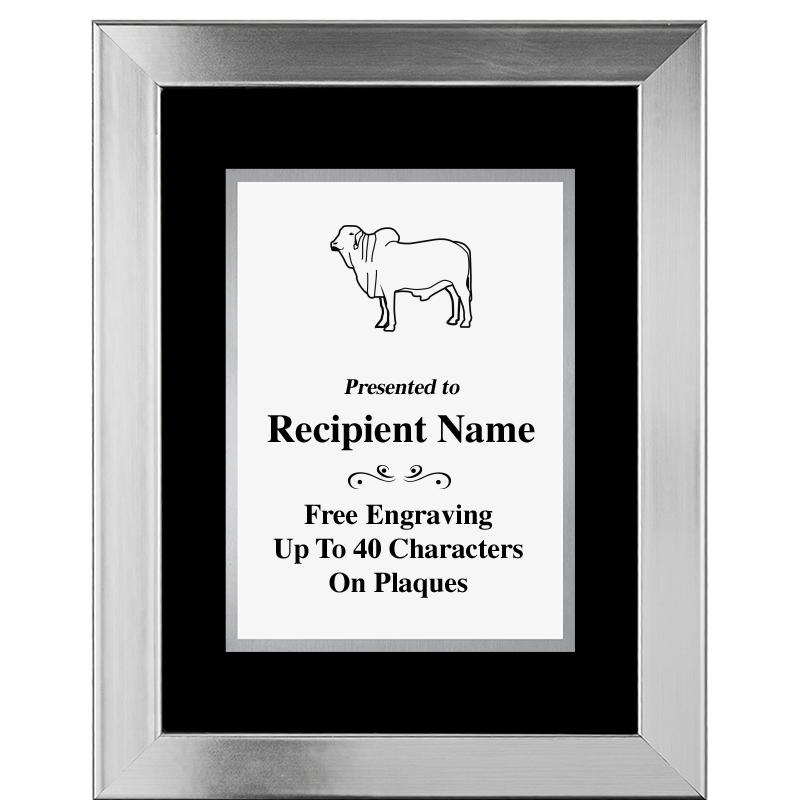 11.5"X14.5" PLATINUM FRAME PLQ