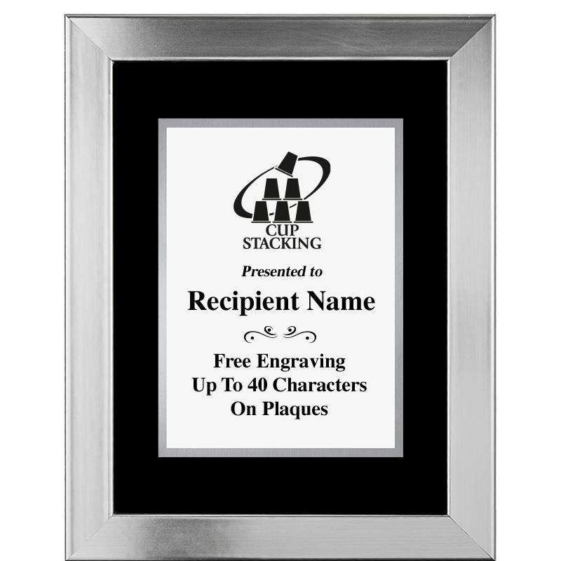 11.5"X14.5" PLATINUM FRAME PLQ