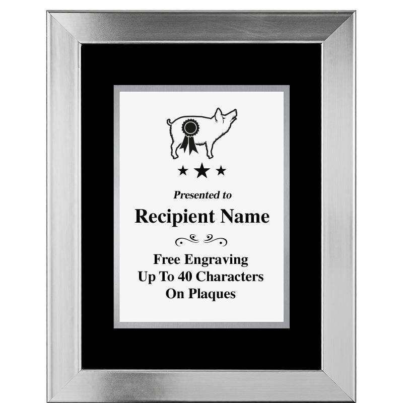 11.5"X14.5" PLATINUM FRAME PLQ