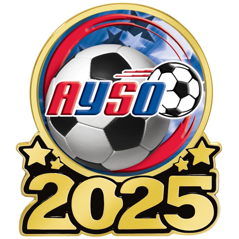 1.25" 2025 INSERT PIN