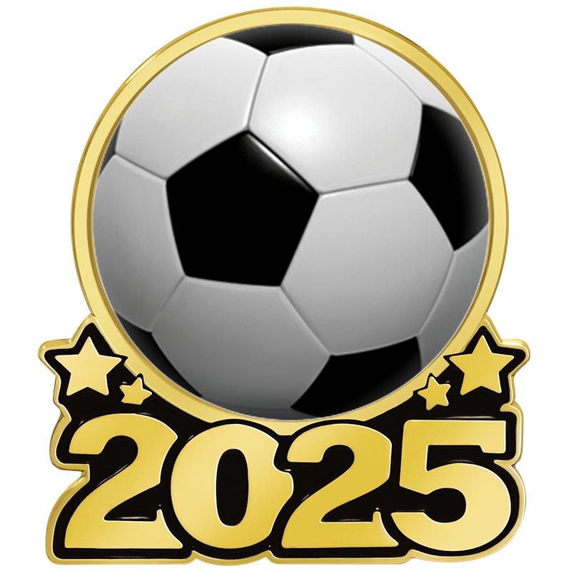 1.25" 2025 INSERT PIN