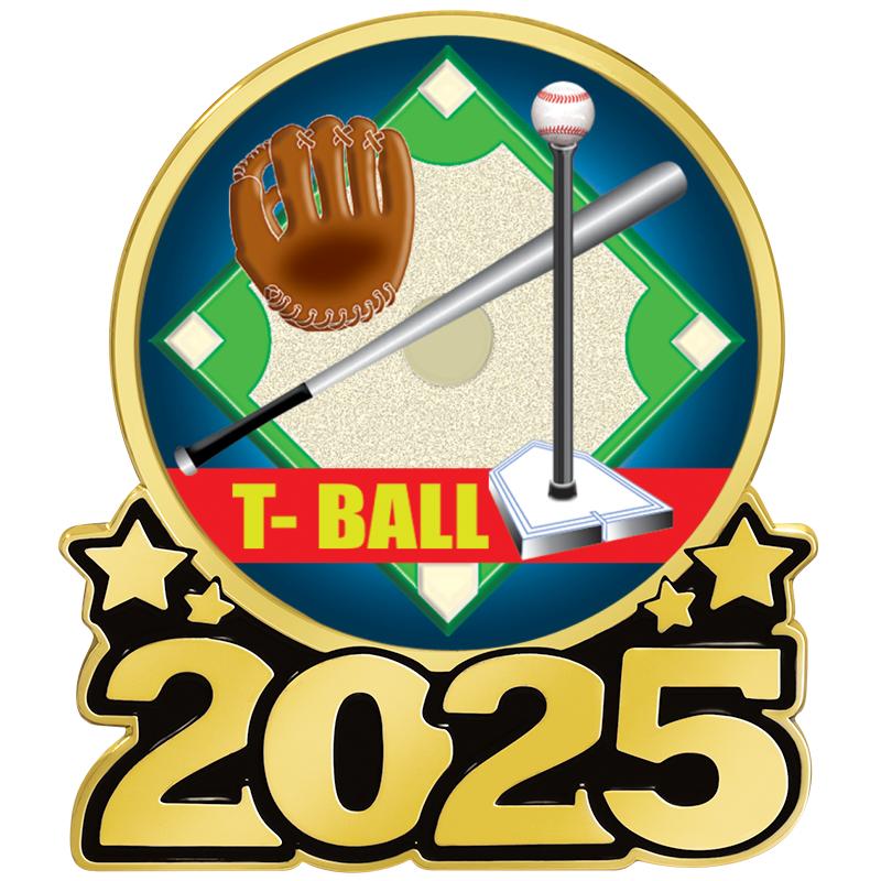 1.25" 2025 INSERT PIN