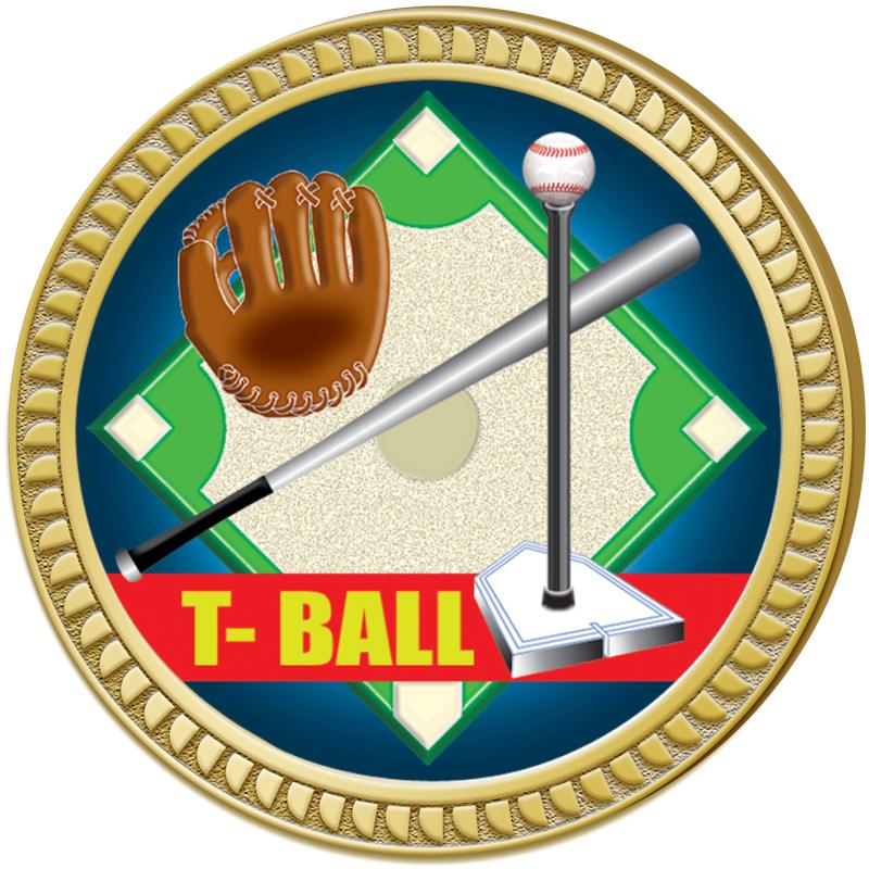 1.25" ROUND INSERT PIN