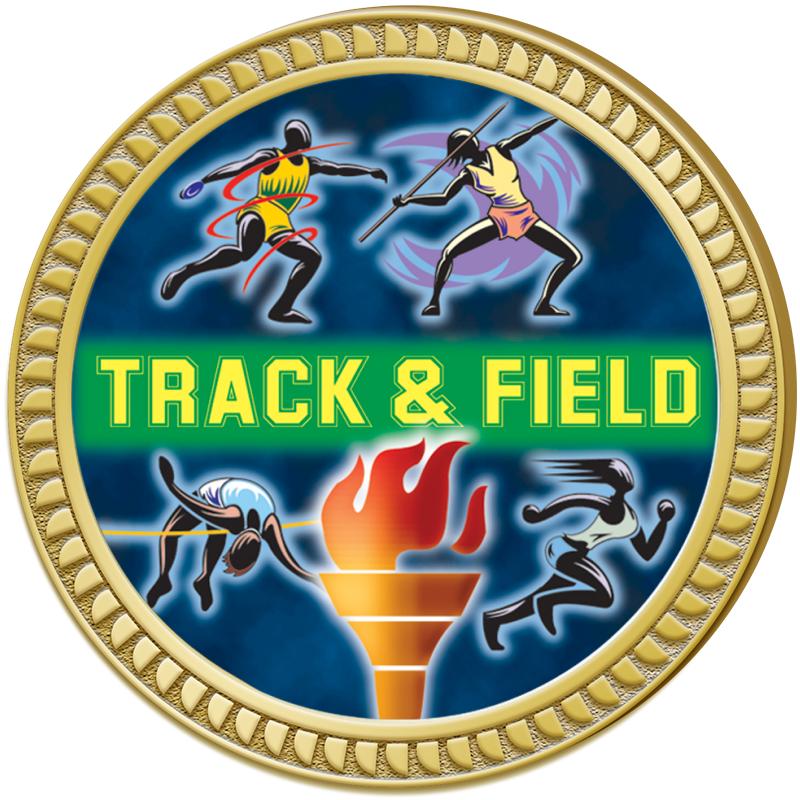 1.25" ROUND INSERT PIN