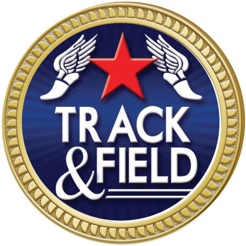 1.25" ROUND INSERT PIN