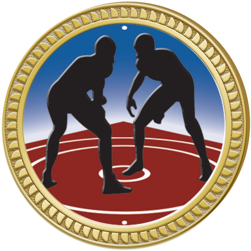 1.25" ROUND INSERT PIN