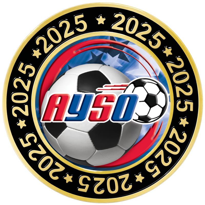 1.5" 2025 PERIMETER INSERT PIN