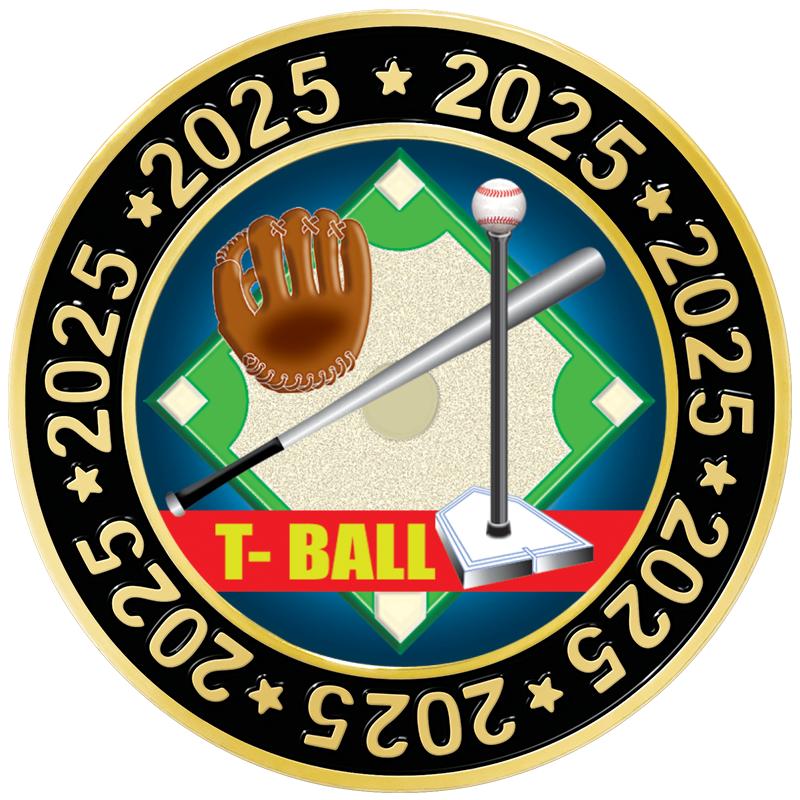 1.5" 2025 PERIMETER INSERT PIN