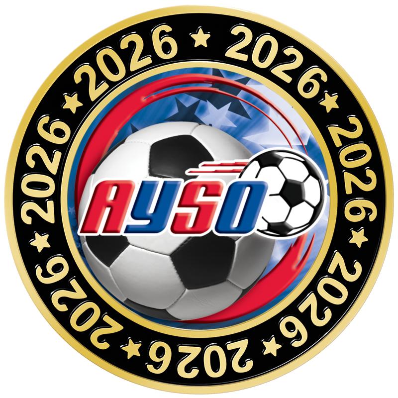 1.5" 2026 PERIMETER INSERT PIN