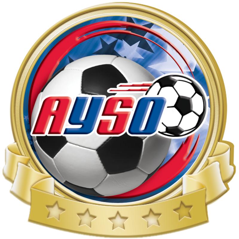 1.37"Wx1.25"H BANNER INSRT PIN