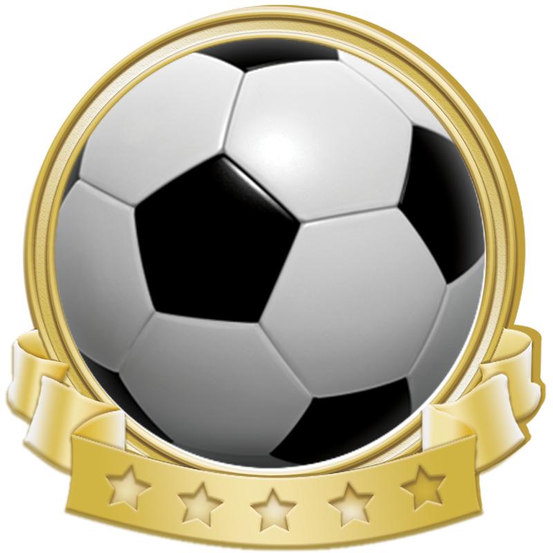 1.37"Wx1.25"H BANNER INSRT PIN