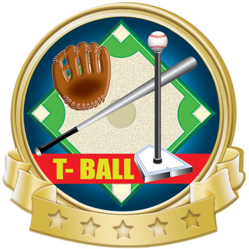 1.37"Wx1.25"H BANNER INSRT PIN