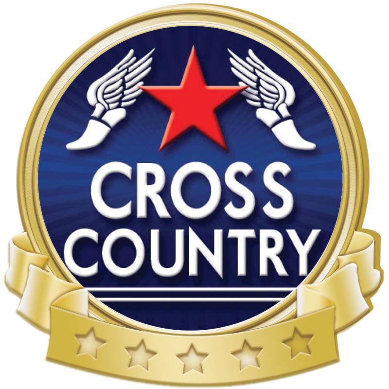 1.37"Wx1.25"H BANNER INSRT PIN