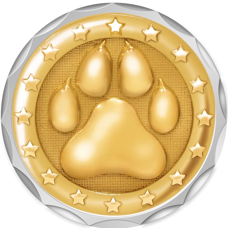 2.2" SILVER BUTTON INSERT PIN