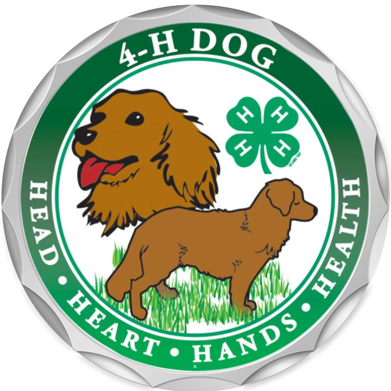 2.2" SILVER BUTTON INSERT PIN