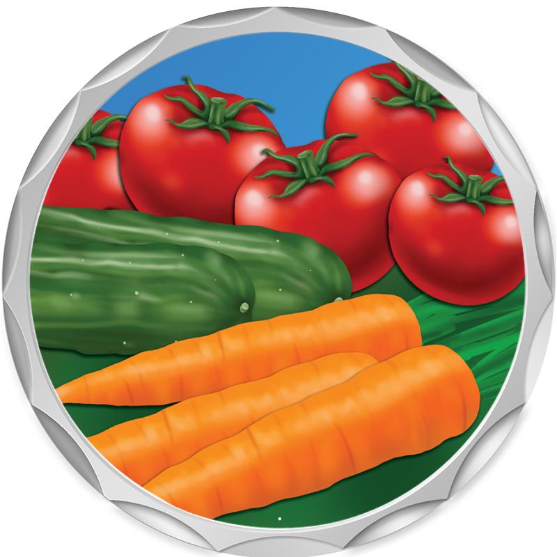 2.2" SILVER BUTTON INSERT PIN