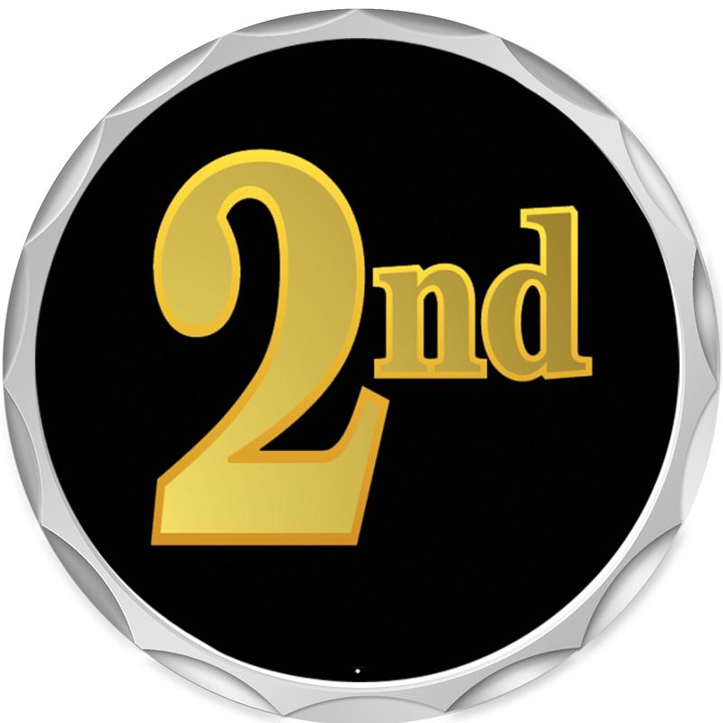 2.2" SILVER BUTTON INSERT PIN