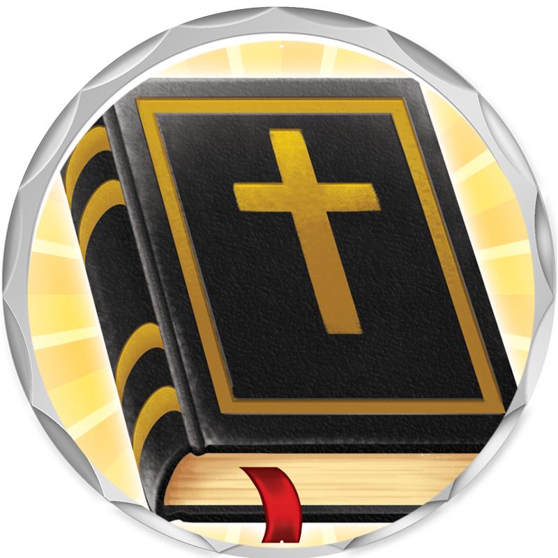 2.2" SILVER BUTTON INSERT PIN