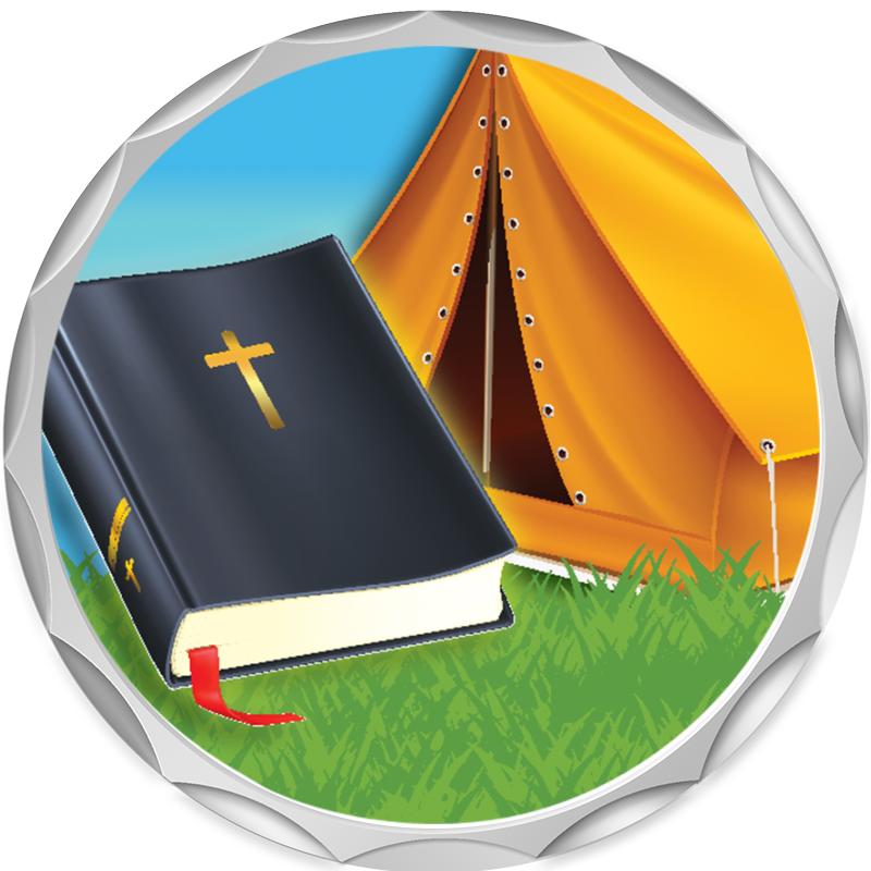 2.2" SILVER BUTTON INSERT PIN