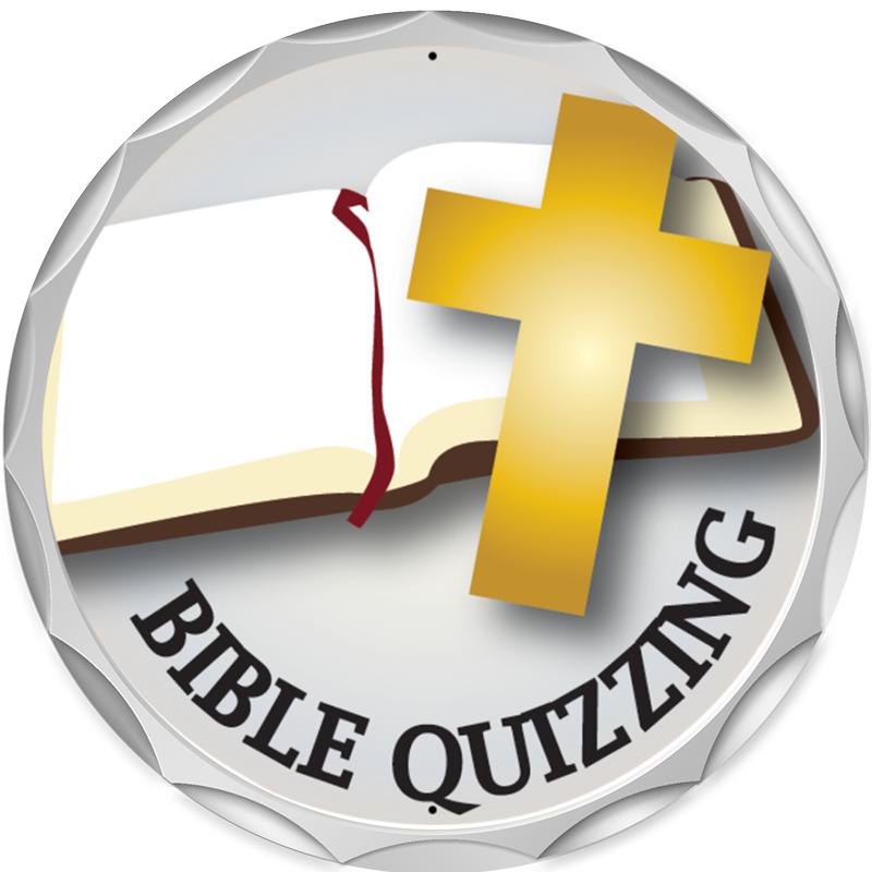 2.2" SILVER BUTTON INSERT PIN