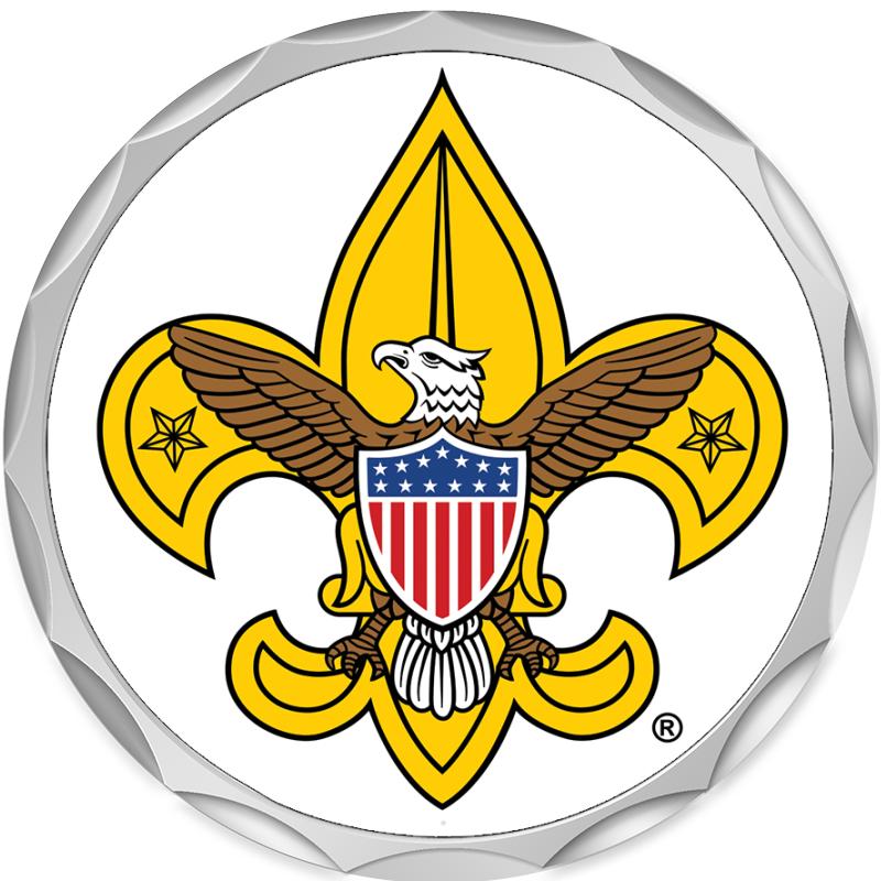 2.2" SILVER BUTTON INSERT PIN