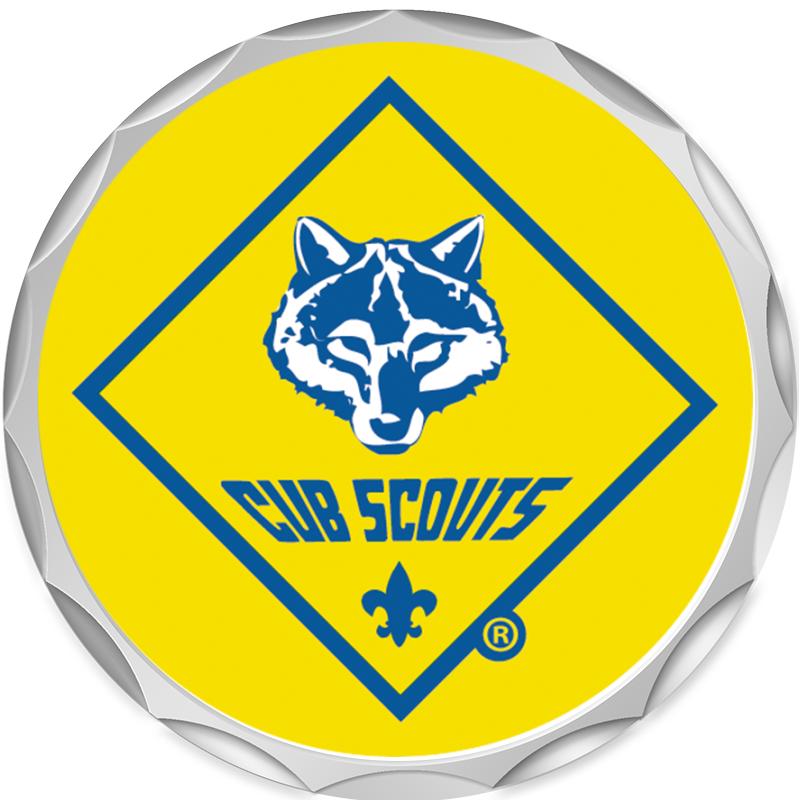 2.2" SILVER BUTTON INSERT PIN